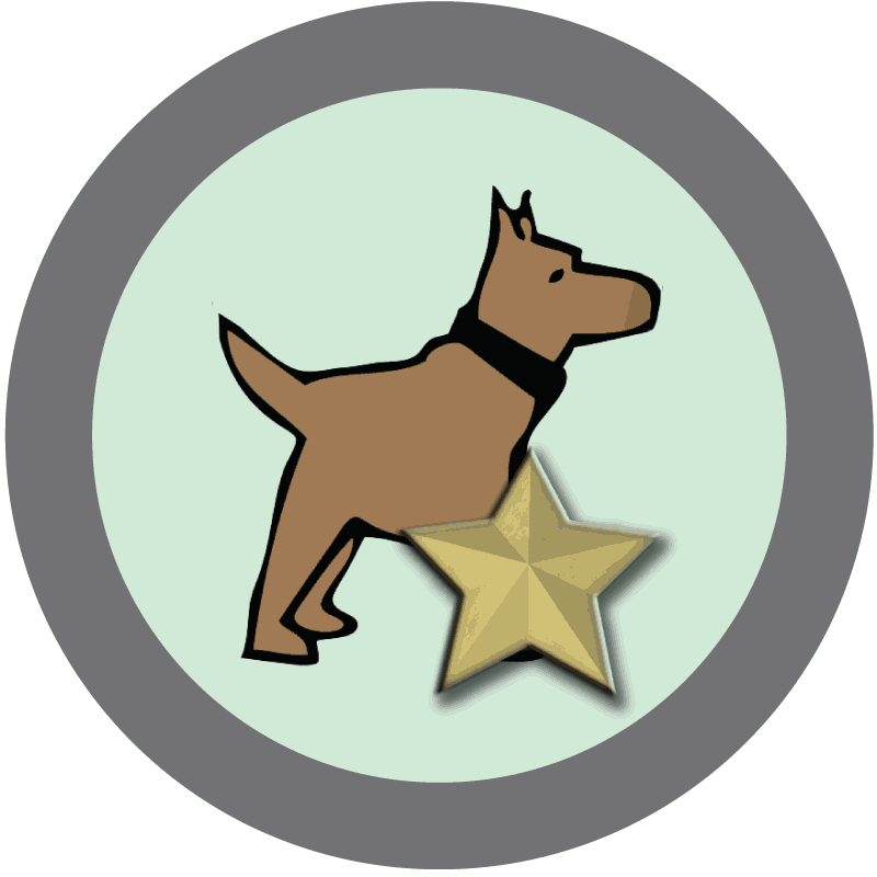 Certified Karel the Dog Programmer